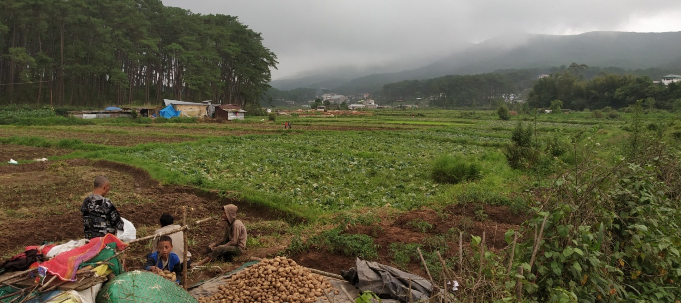 A view of U Lum Syiem Lum Mawpat range and the fertile farm lands at its foot hills, producing paddy, potato and other vegetables at Mawroh-Mawlai area