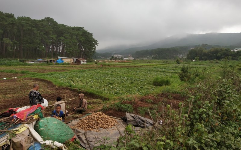 A view of U Lum Syiem Lum Mawpat range and the fertile farm lands at its foot hills, producing paddy, potato and other vegetables at Mawroh-Mawlai area