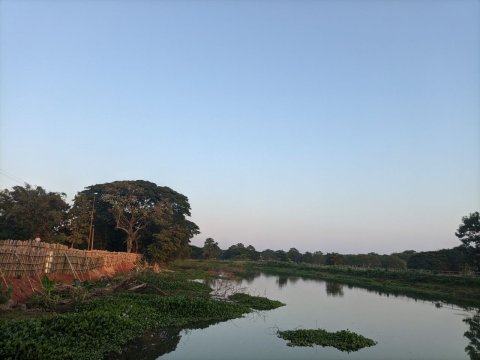 Alt